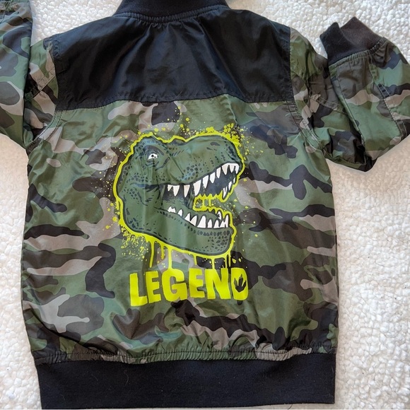 Boys Size 4 Dinosaur Camo Hooded Zip Jacket - Picture 6 of 9